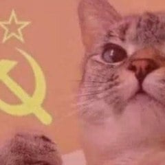 Gato comunista